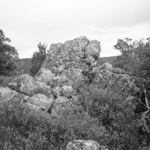 les ondes frederic fourdinier 1